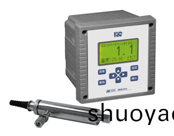 溶解氧分析仪 溶解氧分析仪