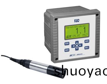 溶解氧分析仪 溶解氧分析仪