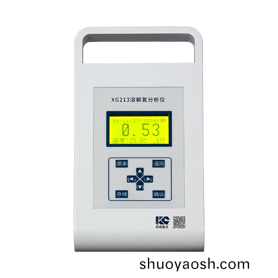 便携式溶解氧分析仪(微克级)